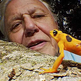 david attenborough_photography news