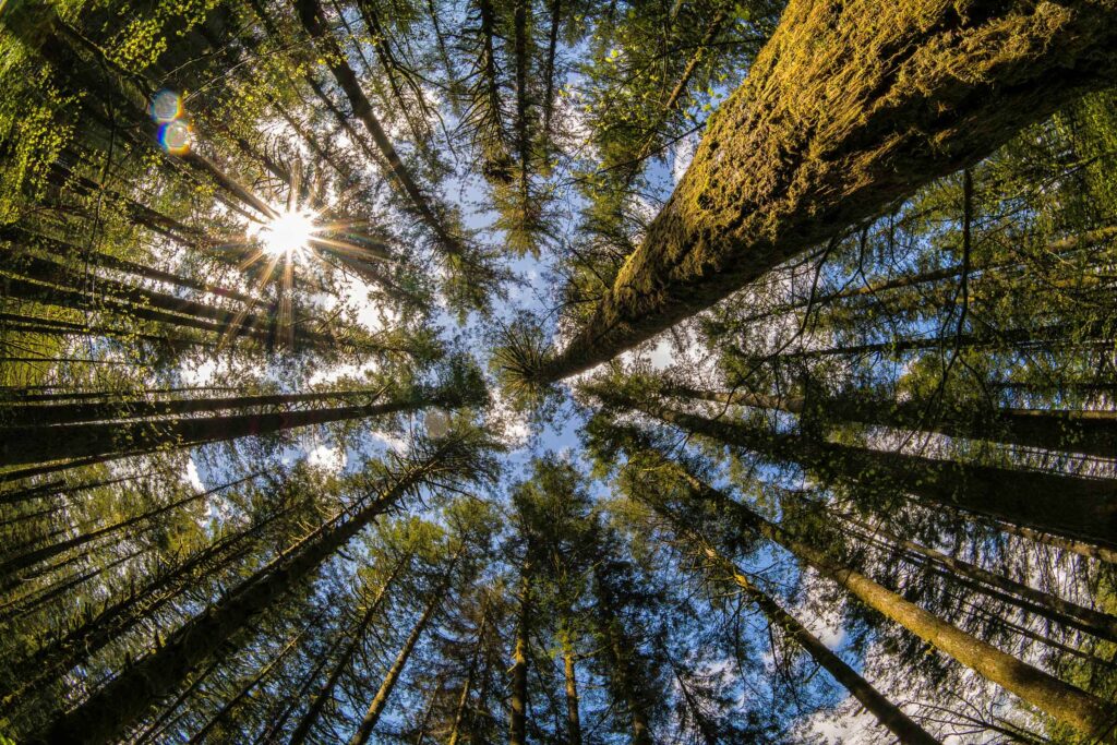 Eye In The Sky For Site — Landscape & nature photography by Wasim Muklashy