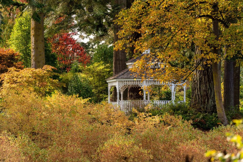 Garden — Nature & garden photography by Wasim Muklashy