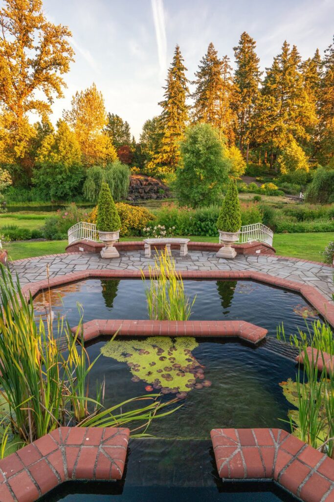 Garden — Nature & garden photography by Wasim Muklashy