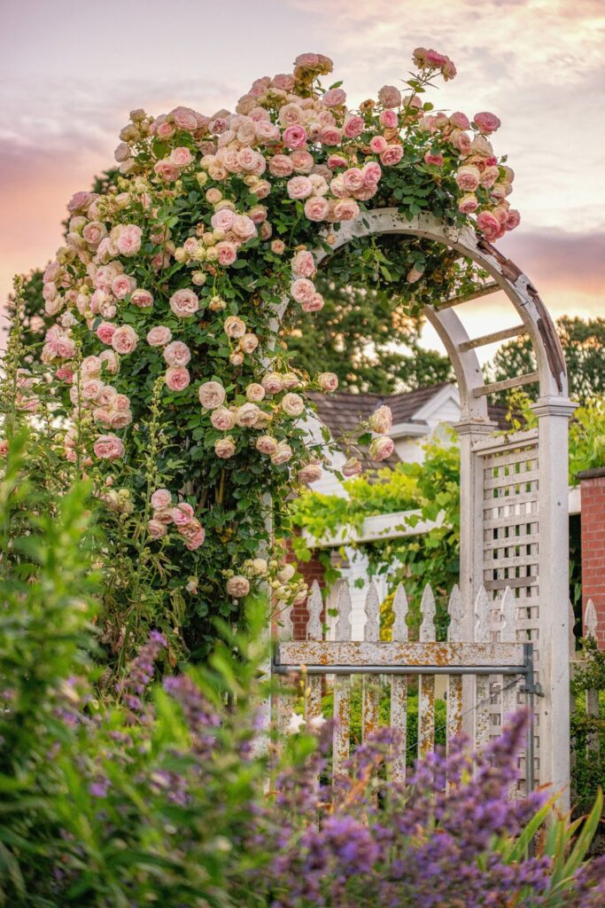 Garden — Nature & garden photography by Wasim Muklashy