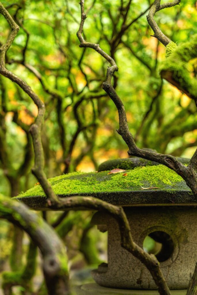 Garden — Nature & garden photography by Wasim Muklashy