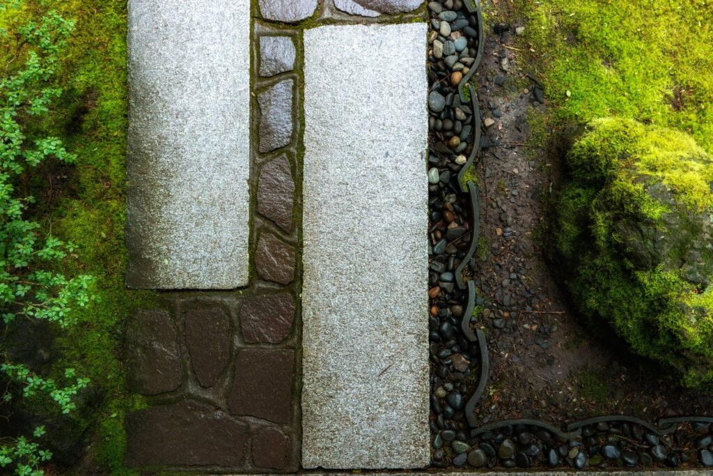 Garden — Nature & garden photography by Wasim Muklashy