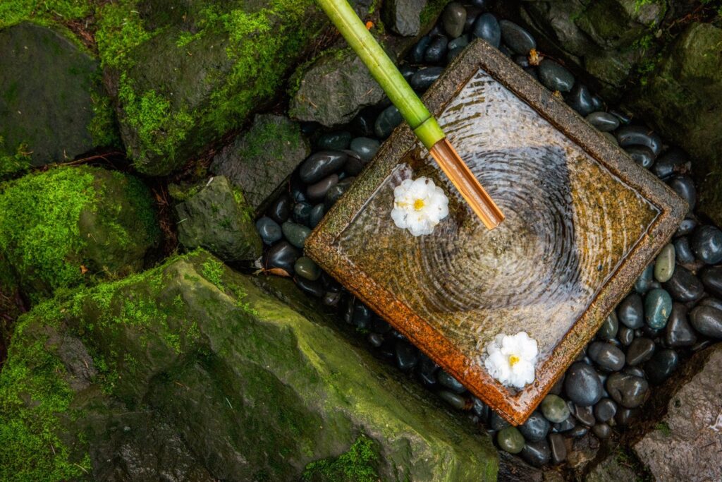 Garden — Nature & garden photography by Wasim Muklashy