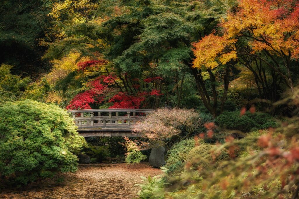 Garden — Nature & garden photography by Wasim Muklashy