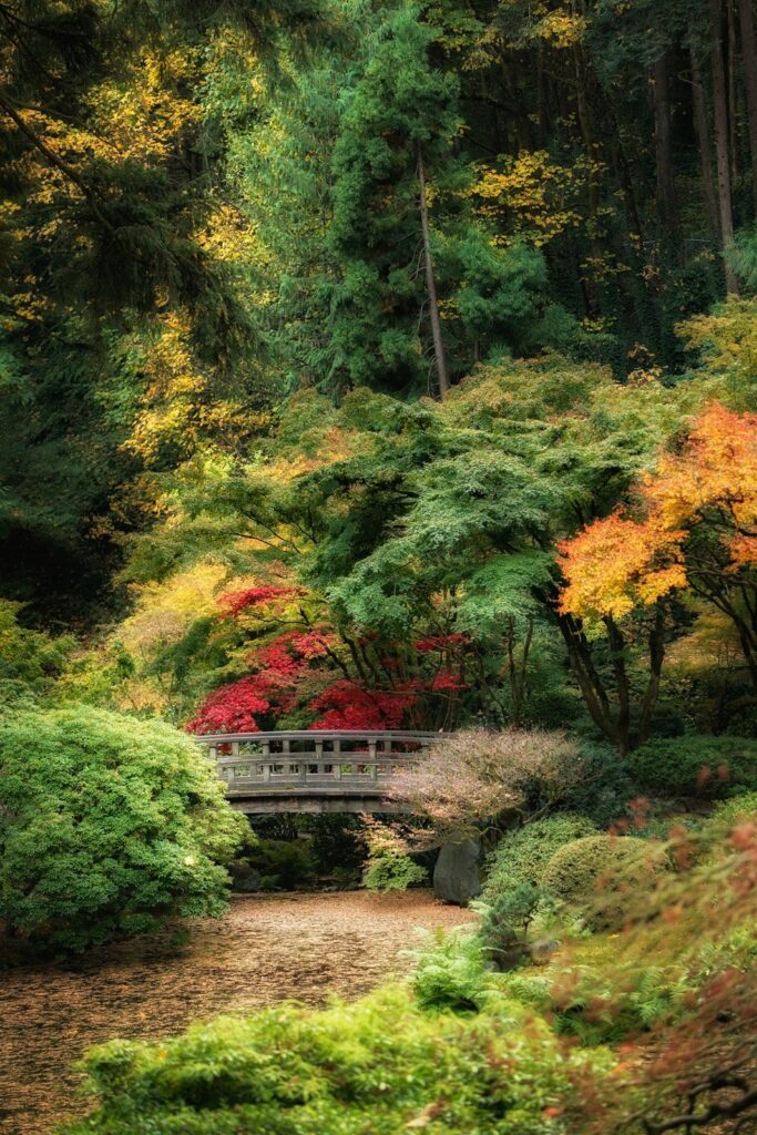 Garden — Nature & garden photography by Wasim Muklashy