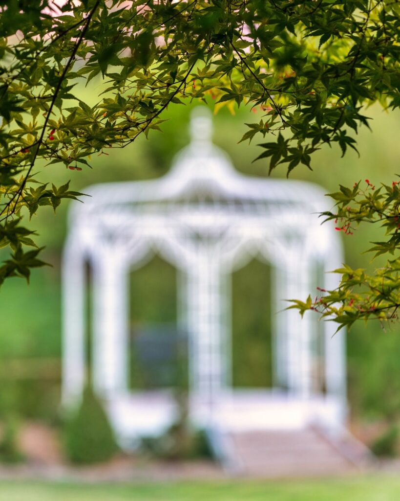 Garden — Nature & garden photography by Wasim Muklashy