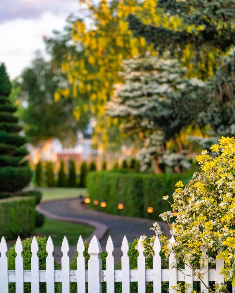 Garden — Nature & garden photography by Wasim Muklashy