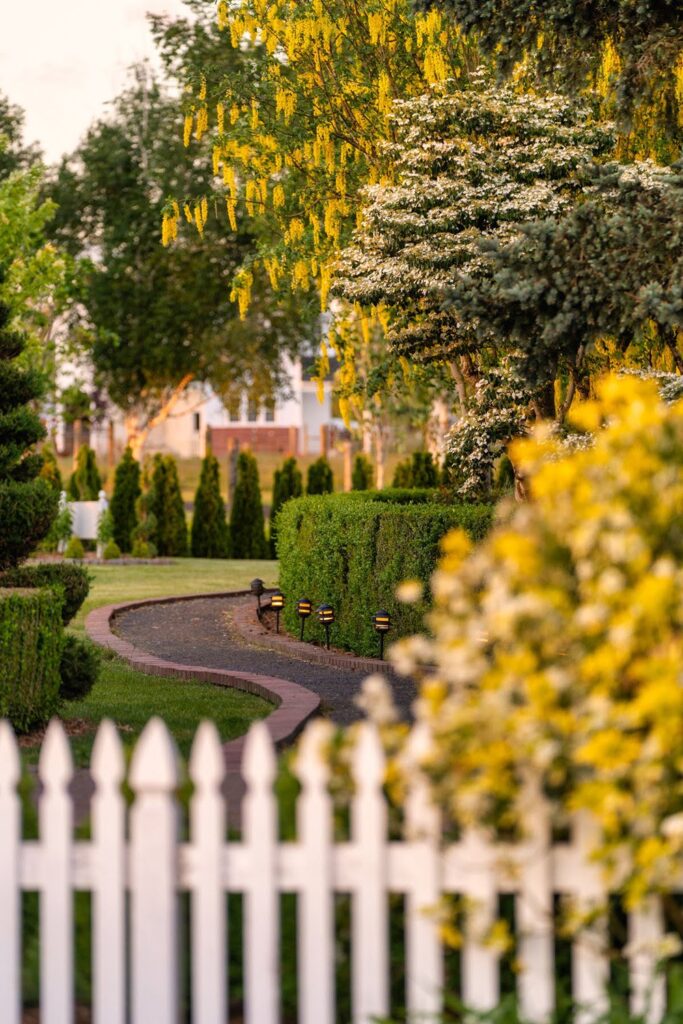 Garden — Nature & garden photography by Wasim Muklashy