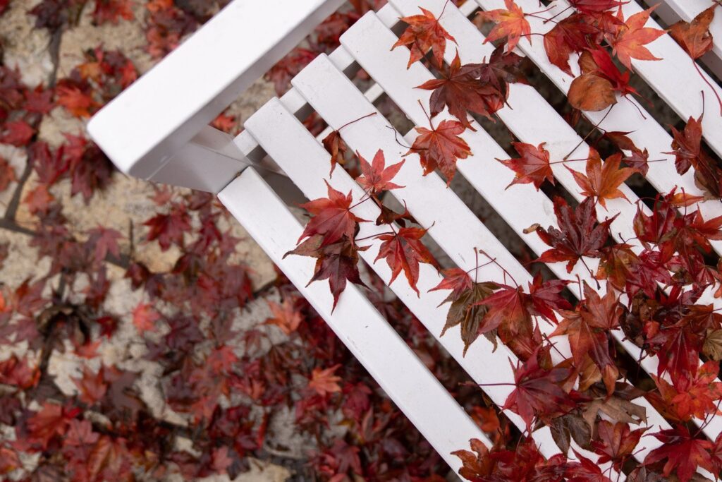 Garden — Nature & garden photography by Wasim Muklashy