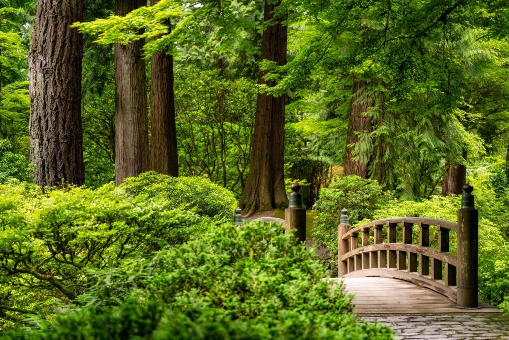 Garden — Nature & garden photography by Wasim Muklashy