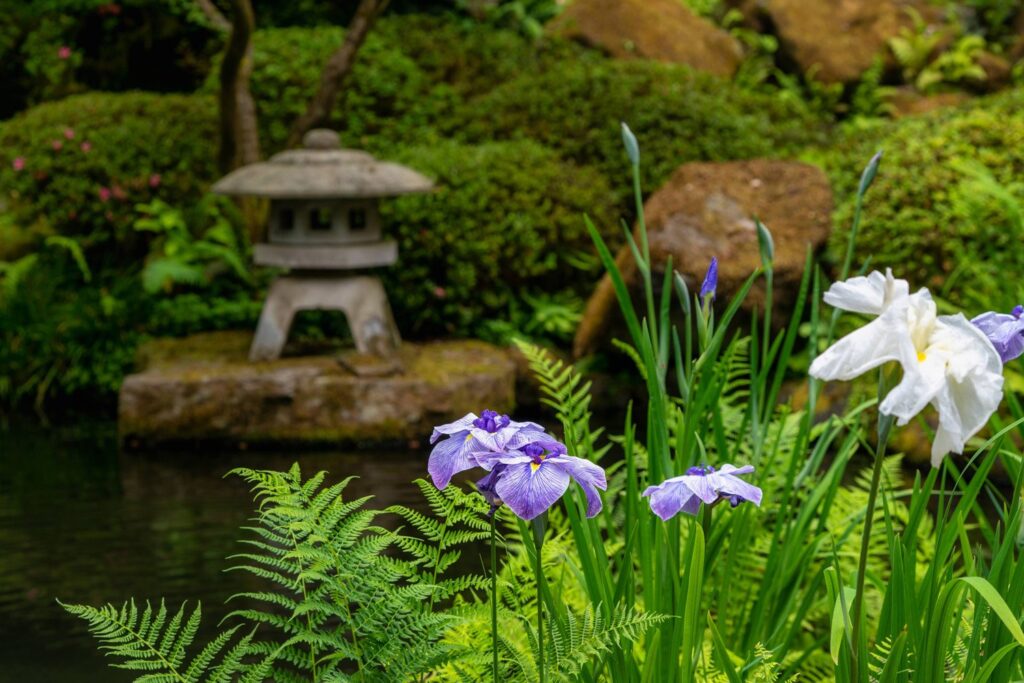 Garden — Nature & garden photography by Wasim Muklashy