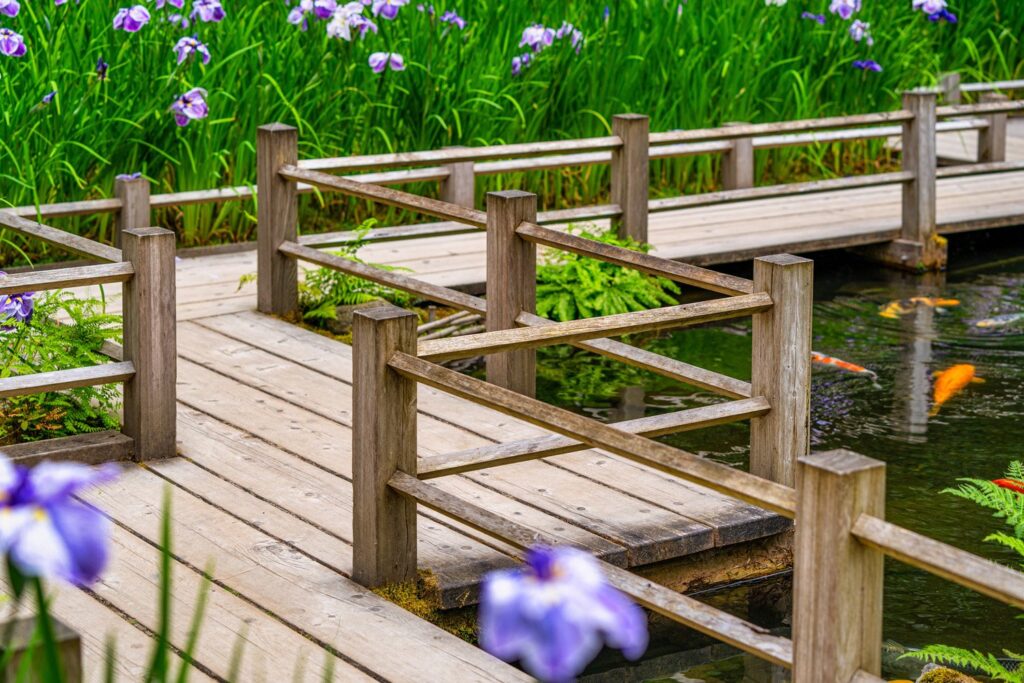 Garden — Nature & garden photography by Wasim Muklashy