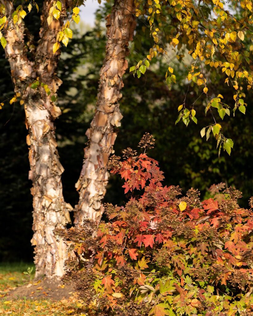 Garden — Nature & garden photography by Wasim Muklashy