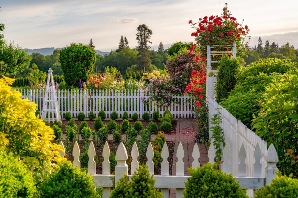 Garden — Nature & garden photography by Wasim Muklashy