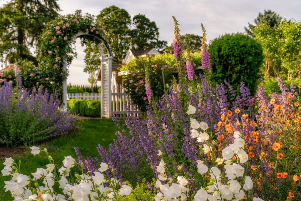 Garden — Nature & garden photography by Wasim Muklashy