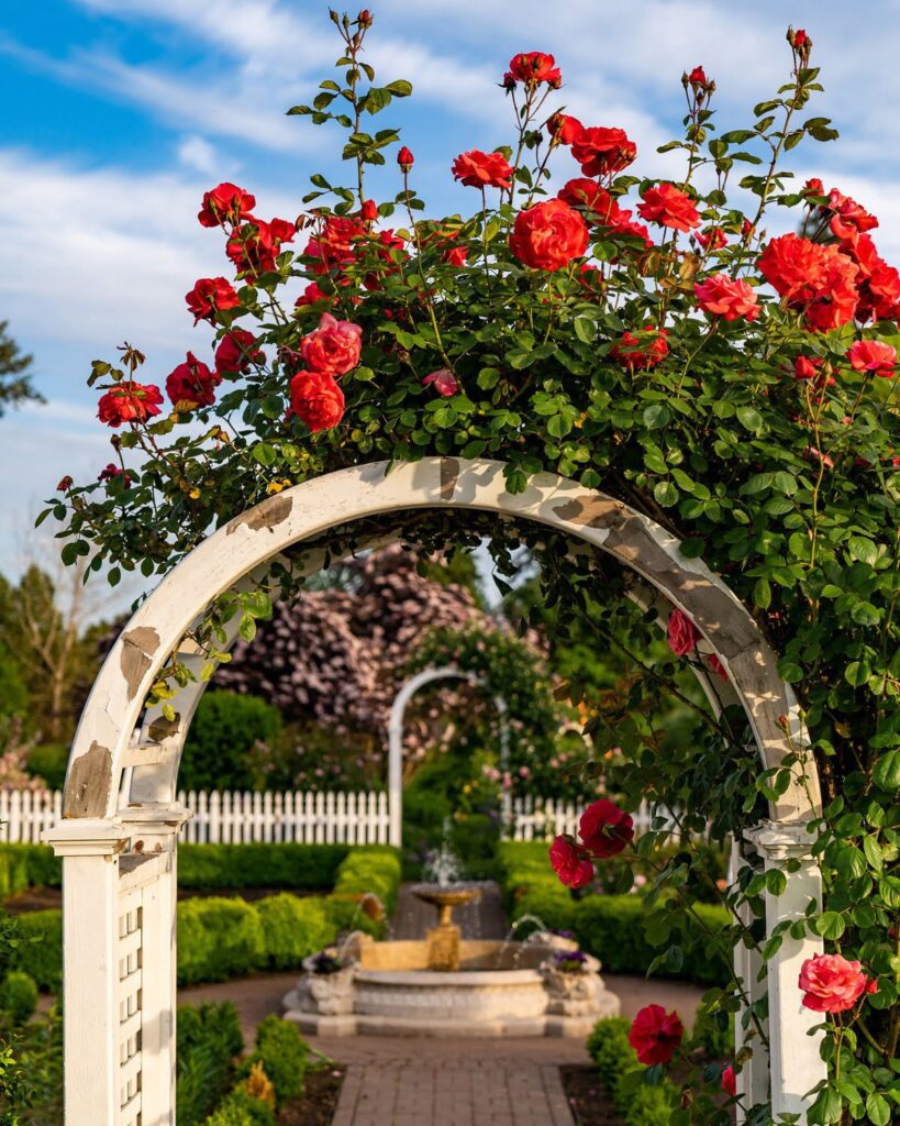 Garden — Nature & garden photography by Wasim Muklashy
