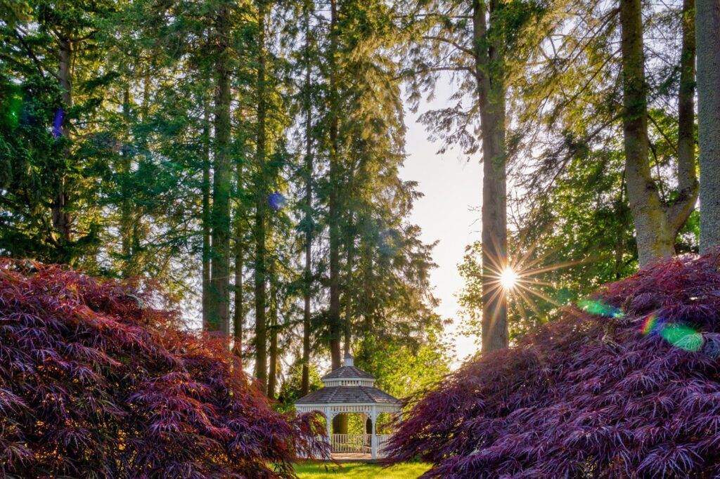 Garden — Nature & garden photography by Wasim Muklashy