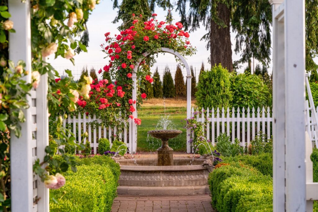 Garden — Nature & garden photography by Wasim Muklashy