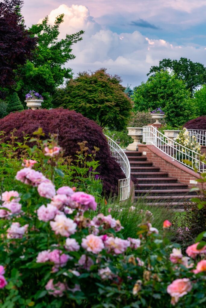 Garden — Nature & garden photography by Wasim Muklashy