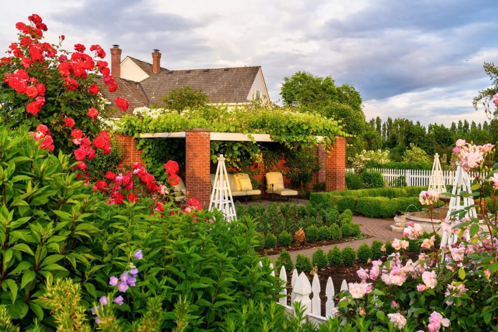 Garden — Nature & garden photography by Wasim Muklashy