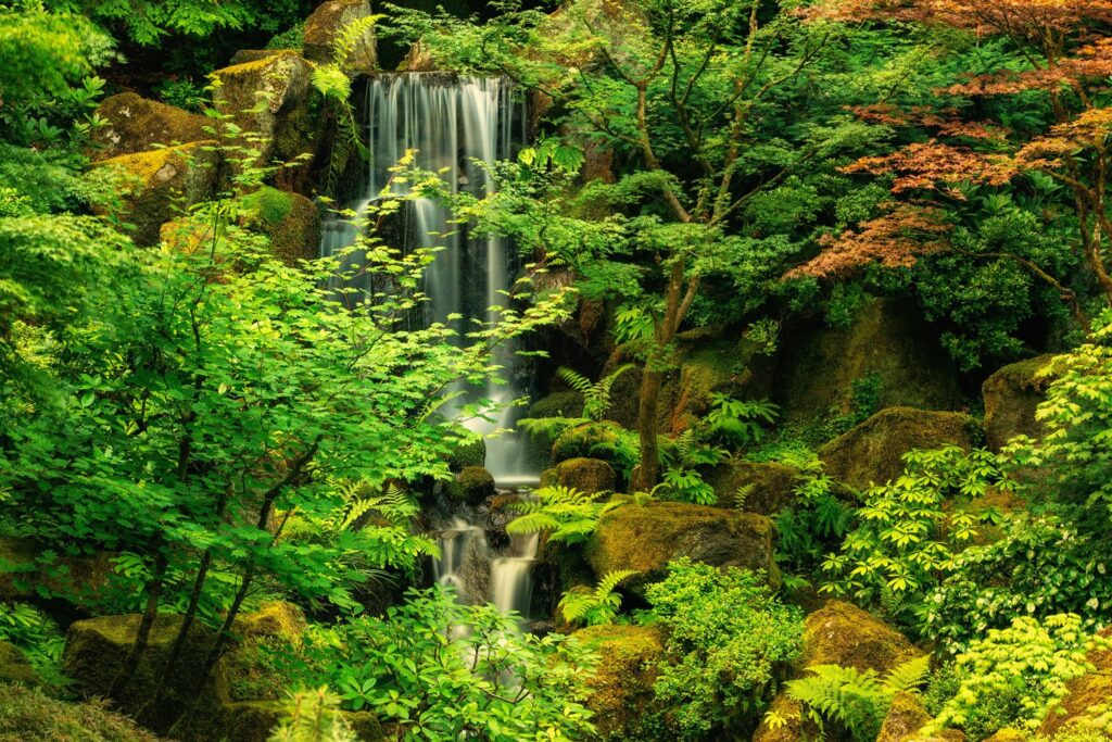 Garden — Nature & garden photography by Wasim Muklashy