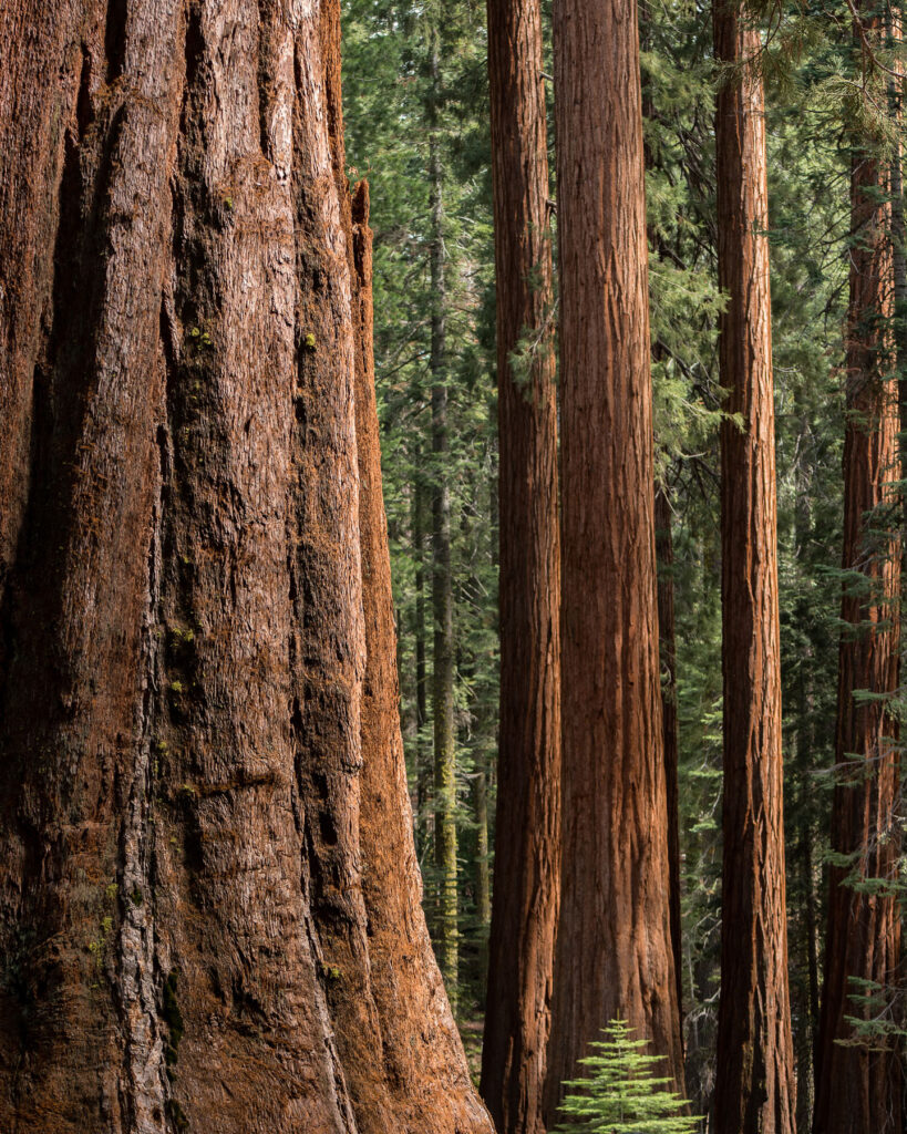 Generation Gap — Landscape & nature photography by Wasim Muklashy