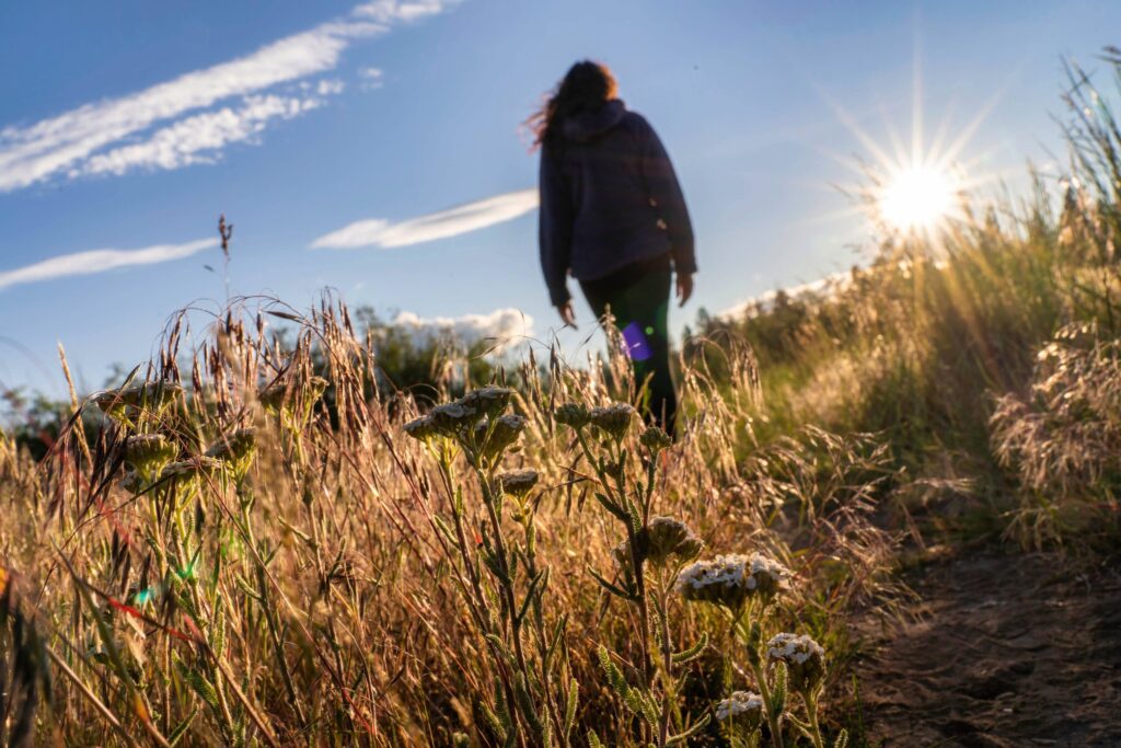 iker walking through a wheat field at Sunset — photography by Wasim Muklashy