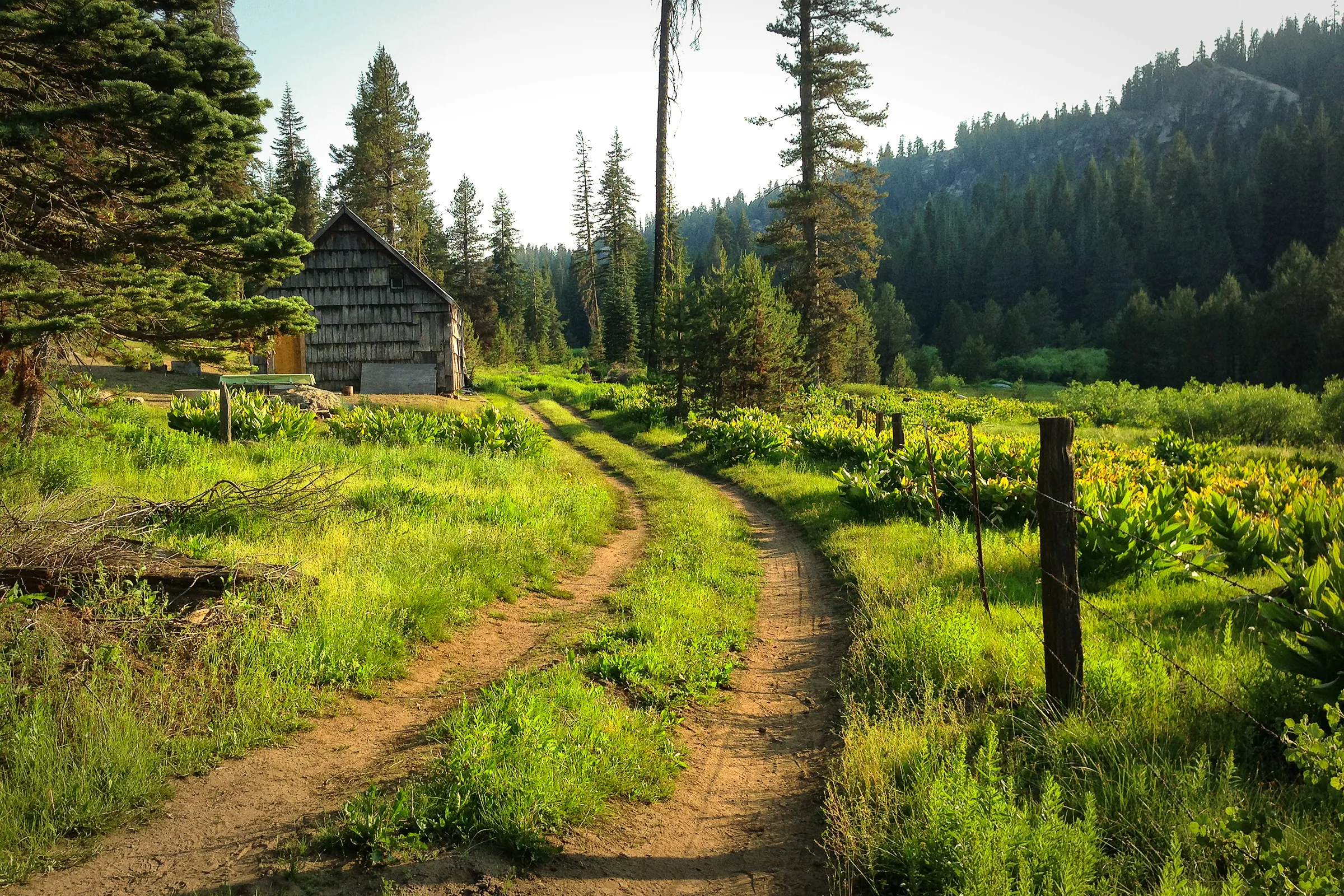 Jones Store. Yosemite National Forest, California. Wasim Muklashy Photography