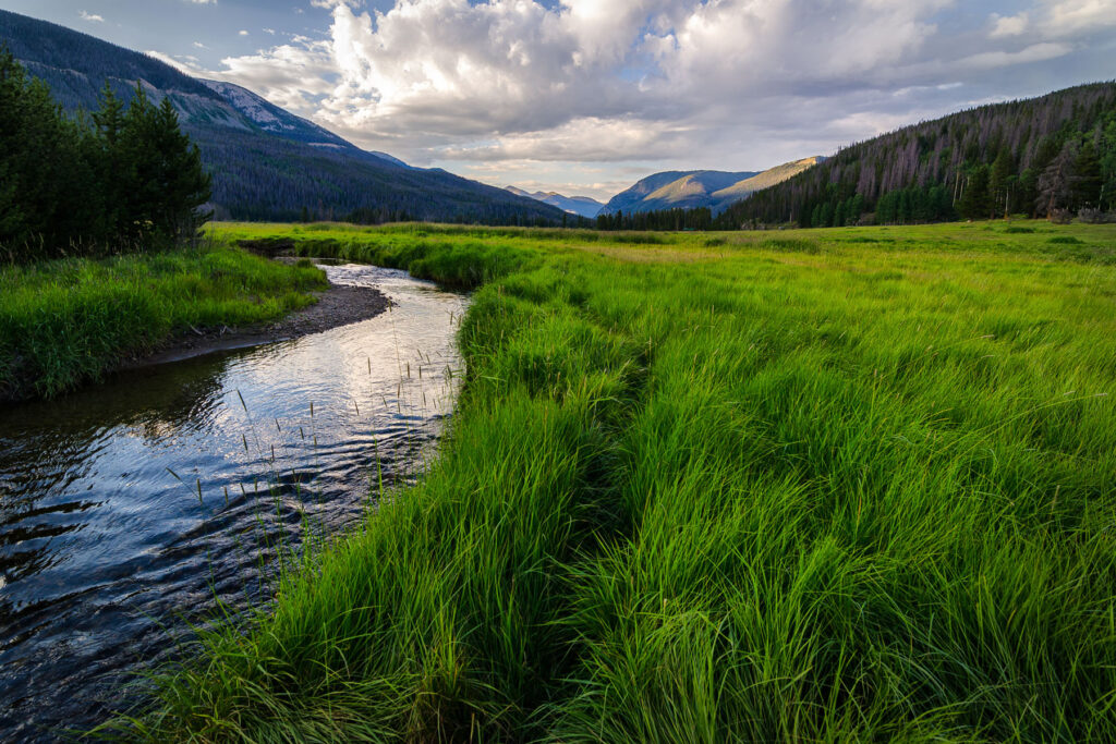 Just In Time — Landscape & nature photography by Wasim Muklashy