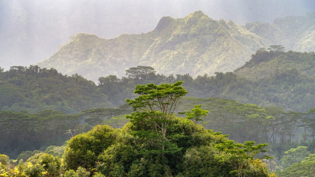 Kauai Hawaii Spring — Landscape & nature photography by Wasim Muklashy