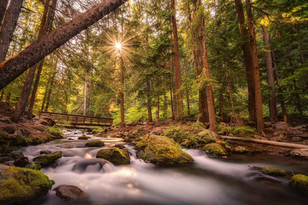 Landscape & nature photography by Wasim Muklashy