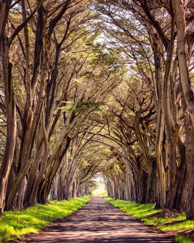 Landscape & nature photography by Wasim Muklashy