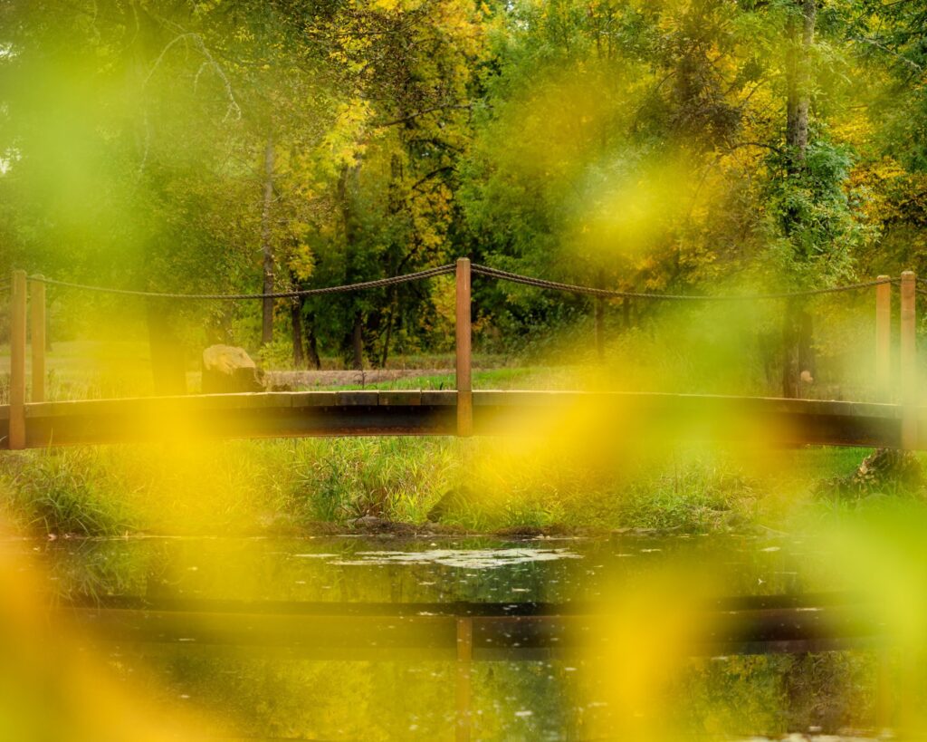 Oakwood Gardens Alpaca Farm and Gardens Pro Property Photos Bend Real Estate Photographer — Nature & garden photography by Wasim Muklashy