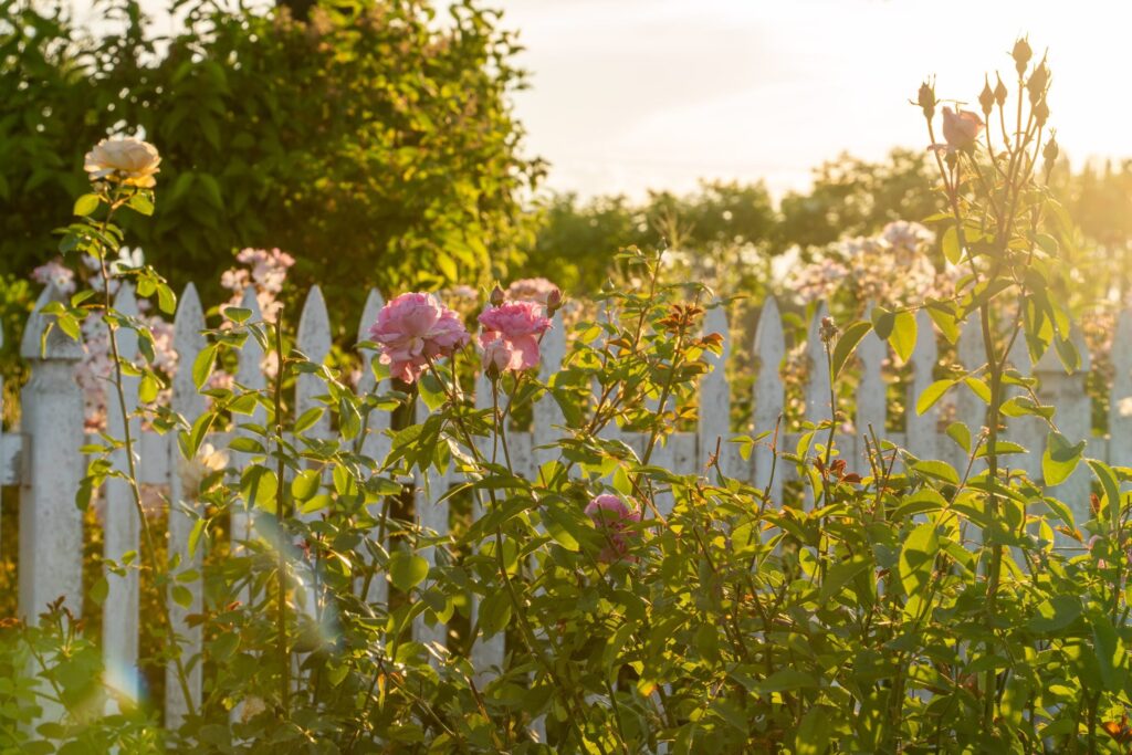 Oakwood Gardens Spring — Nature & garden photography by Wasim Muklashy
