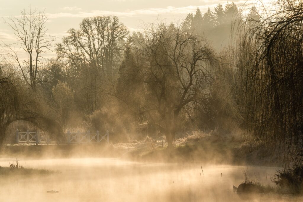 Oakwood Gardens Spring — Travel & nature photography by Wasim Muklashy