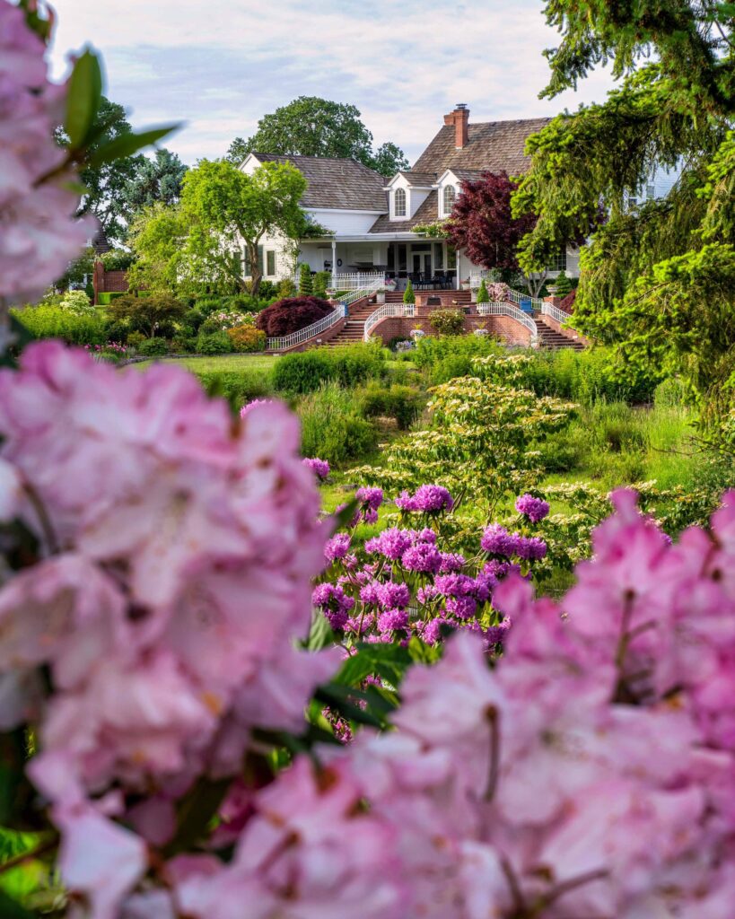 Oakwood Gardens Spring Garden — Travel & nature photography by Wasim Muklashy