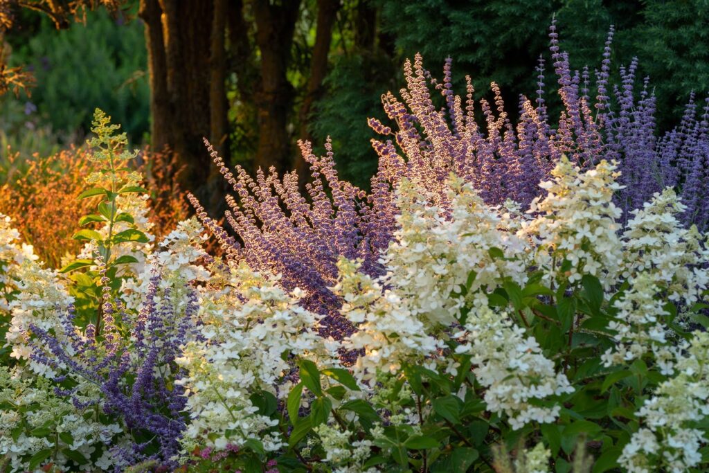 Oakwood Gardens Summer — Nature & garden photography by Wasim Muklashy