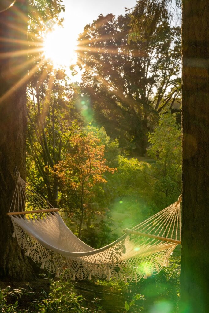 Oakwood Gardens Summer Garden — Nature & garden photography by Wasim Muklashy