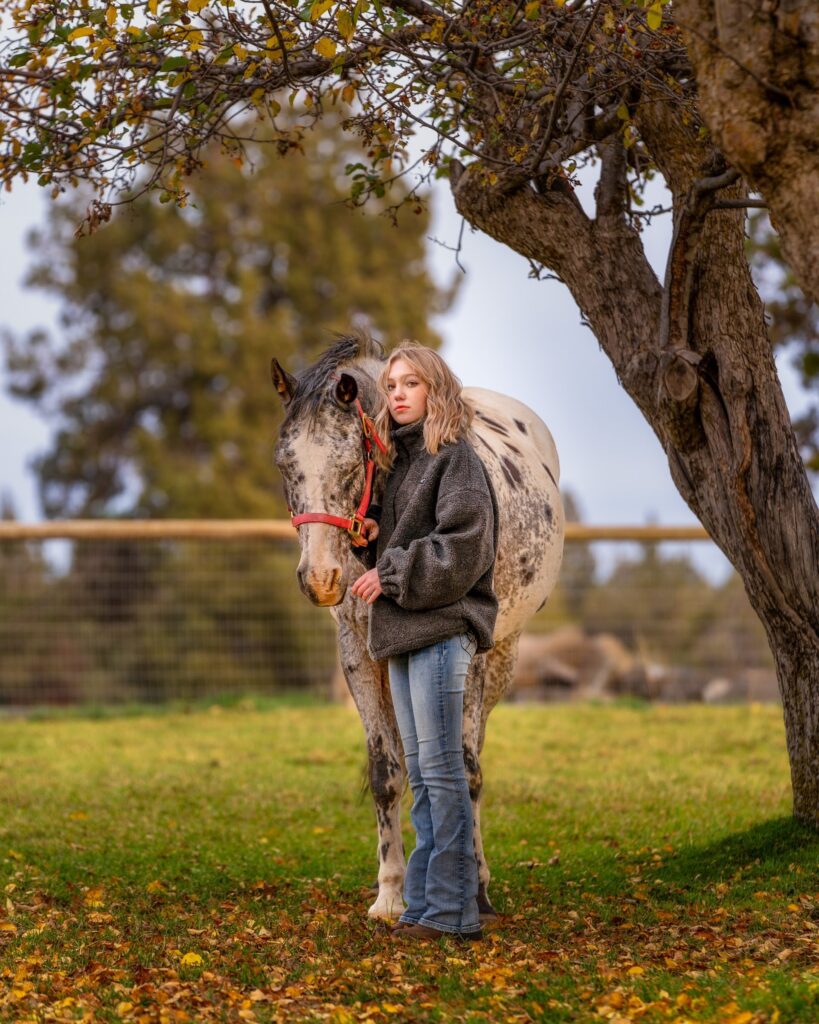 Pet Dogs Horses Fish — Alpaca & animal photography by Wasim Muklashy