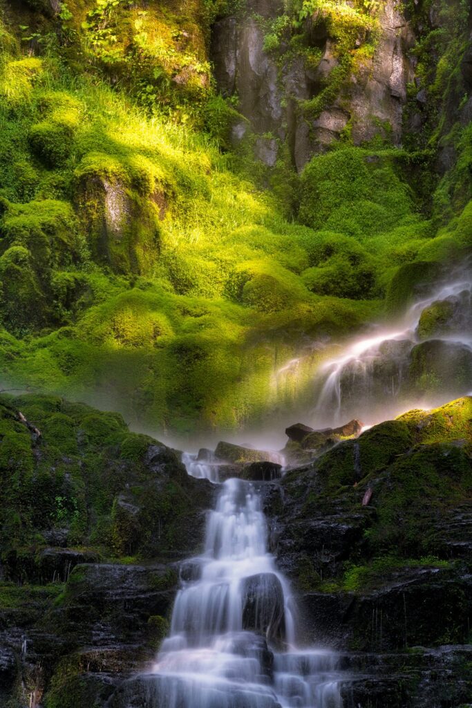 Proxy Falls in the Cascade Mountains in Central Oregon — photography by Wasim Muklashy