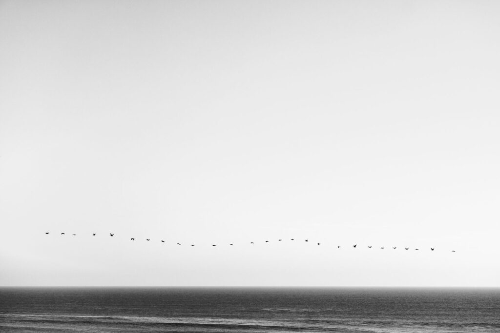 Realtime Lapse — Landscape & nature photography by Wasim Muklashy