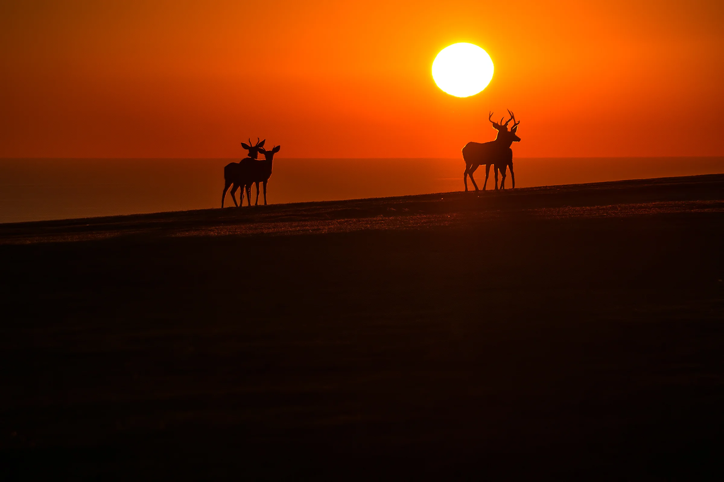 Photography Lesson Learned – Don’t Fight It, Just Succumb To It (It’s More Rewarding)!