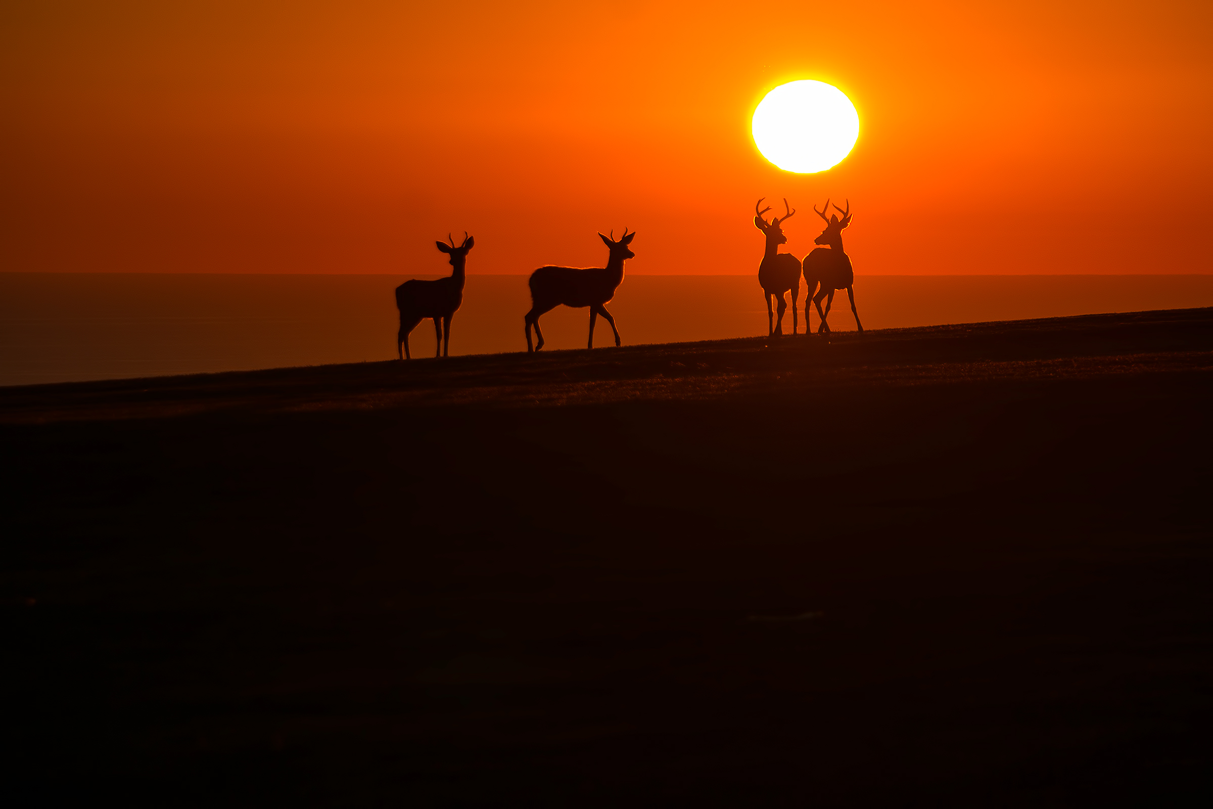 How To Photograph Sunsets, Silhouettes And Starbursts For Your Summer Snaps!