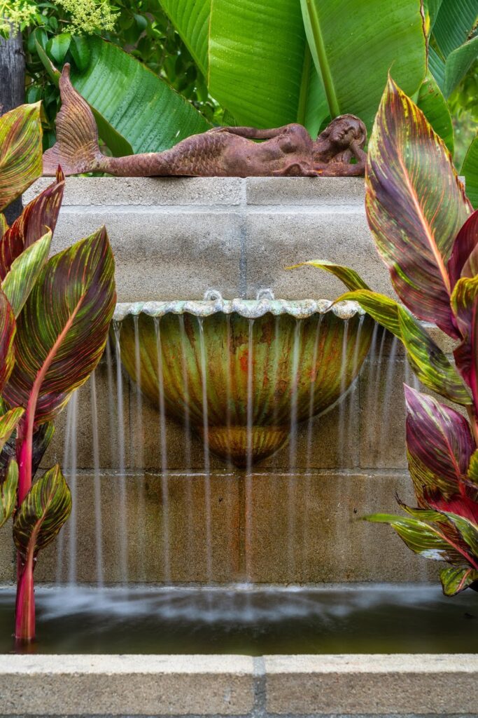 The Mountain Mermaid Topanga California Pro Property Photos by Wasim Common Areas — Nature & garden photography by Wasim Muklashy