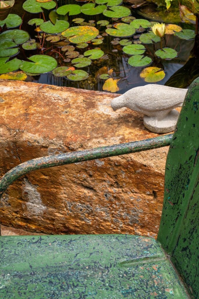 The Mountain Mermaid Topanga California Pro Property Photos by Wasim Common Areas — Nature & garden photography by Wasim Muklashy