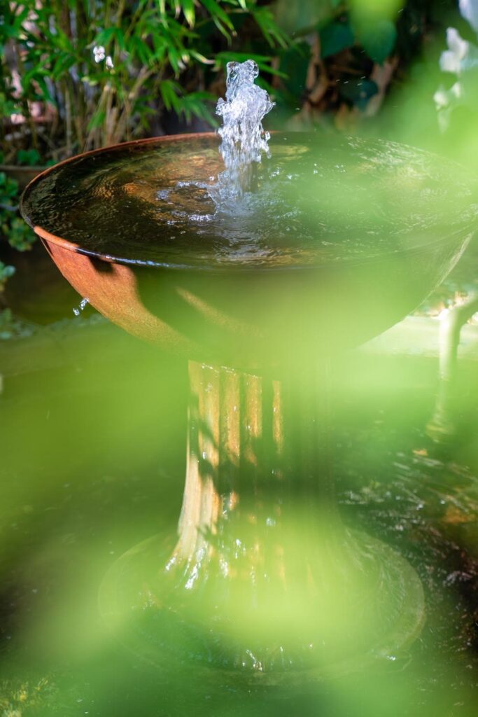 The Mountain Mermaid Topanga California Pro Property Photos by Wasim Common Areas — Nature & garden photography by Wasim Muklashy