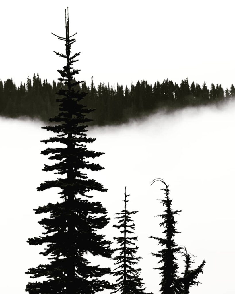 Travel & nature photography by Wasim Muklashy