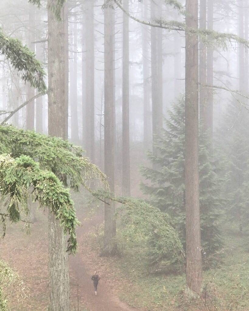 Travel & nature photography by Wasim Muklashy