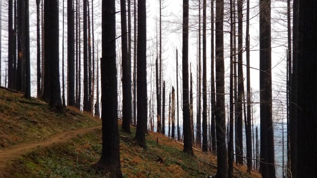 Travel & nature photography by Wasim Muklashy